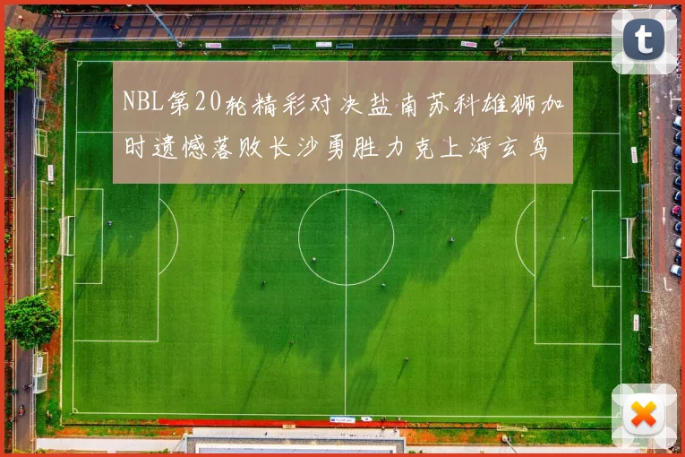 NBL第20轮精彩对决盐南苏科雄狮加时遗憾落败长沙勇胜力克上海玄鸟