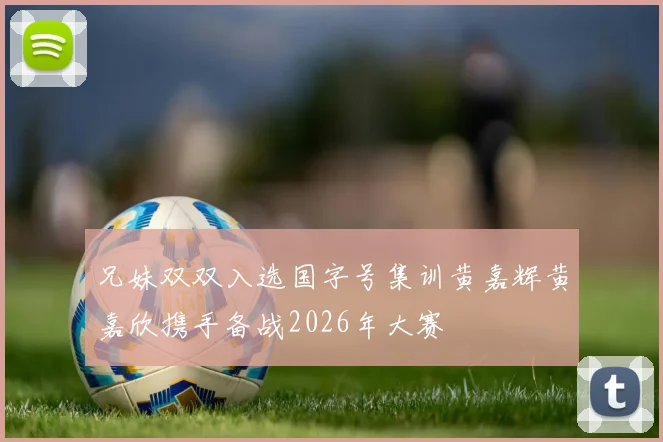 兄妹双双入选国字号集训黄嘉辉黄嘉欣携手备战2026年大赛
